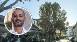 Taglio dei 215 alberi in città, Minucci: "Piante malridotte, sacrificio necessario"