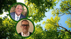 Grosseto sempre più verde: dal 2020 sono migliaia gli alberi piantati in città