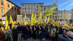 Peste suina dai cinghiali, è allarme anche in Maremma: a rischio 600 allevamenti, Coldiretti in piazza