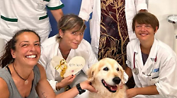 Grosseto celebra la Giornata delle cure palliative con un evento dedicato all'hospice