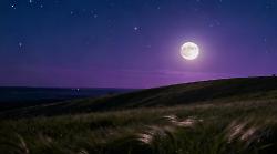 Oroscopo di oggi martedì 11 novembre 2025: la Luna in Leone accende il cuore e la creatività