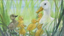 11 novembre 1843: viene pubblicata la fiaba "Il brutto anatroccolo"