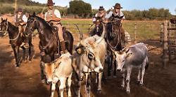 Dalla tradizione alla tecnologia: il museo del Buttero sarà presto realtà 