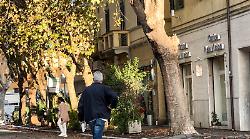 In piazza contro il maxi-piano di abbattimento degli alberi in città: "La contro-perizia dei nostri esperti"