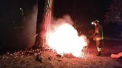 Incendi in serie nel cuore della pineta