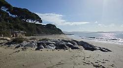 La spiaggia supera l'esame post-mareggiata: "Interventi efficaci"