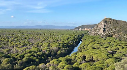 "Questo non lo mangio!": i bambini scoprono le piante commestibili al Parco della Maremma