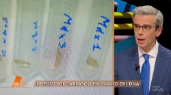 Delitto di Garlasco, cosa può dire e cosa no il dna sotto le unghie di Chiara Poggi. Le similitudini con il caso di Yara Gambirasio