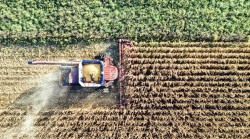 Gli agricoltori maremmani scendono in piazza a Bruxelles: "Battaglia contro la riforma della Pac"