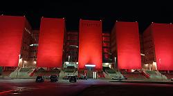 La Giornata antiviolenza della Polizia di Stato – TUTTE LE FOTO