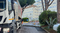 Invasione di guano, pulizie straordinarie all'ospedale: "Situazione critica"