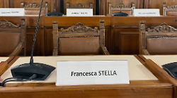 La consigliera Pd grida "Fascisti!" alla maggioranza. E lascia la seduta