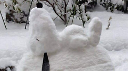 Snoopy “dorme” sulla neve del Monte Amiata 