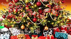 Dal mito alla tradizione: la storia dell’albero di Natale