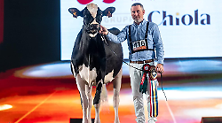 La mucca più bella d'Europa è maremmana: Ria di Toc Farm