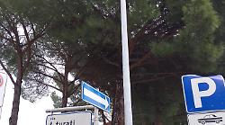 Pini sotto controllo nella frazione: "Zona di scuole, ambulatorio medico e chiesa"