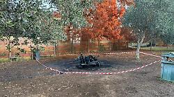 Panchina in fiamme nell'area dei cani