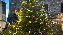 Addobbi di Natale, scatta il contest a suon di like