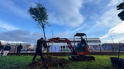 Aurora Bellini, la scuola non dimentica: messo a dimora un albero commemorativo
