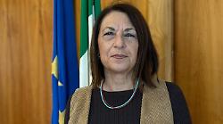 Follonica organizza i percorsi educativi tra lavori e nuove strutture