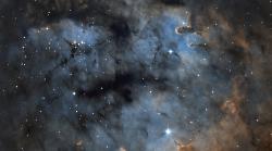 Il cielo del Parco della Maremma &egrave; una &ldquo;riserva di buio&rdquo;: dalla spiaggia di Collelungo si vede la Via Lattea
