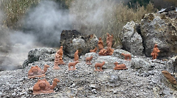 Le Terre del Vapore si accendono per il Natale 2025