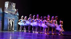 Grosseto, il ritorno di Arte in Festa: spettacolo e beneficenza