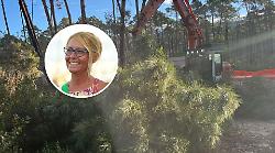 Al via il restyling della pineta, 180mila euro di lavori. La sindaca: &laquo;Ogni taglio prevede una nuova messa a dimora&raquo;