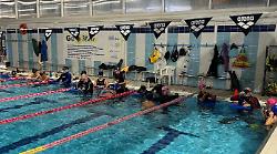 Al via il nuovo corso di pesca in apnea: come ottenere il brevetto federale