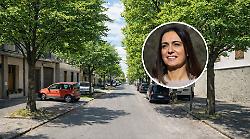 Comune abbatte ippocastani: niente pi&ugrave; alberi di Giuda ma aceri per la piantumazione