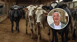 Ventimila interventi per mangiare e vivere sicuri: il bilancio della prevenzione veterinaria Asl