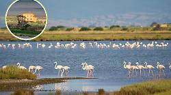 Diaccia Botrona, dove l&rsquo;acqua custodisce la Maremma: il Ramsar Day celebra le zone umide