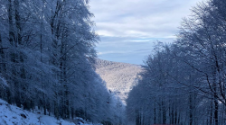 La neve resiste e l&rsquo;Amiata gongola: via libera alla seggiovia Macinaie