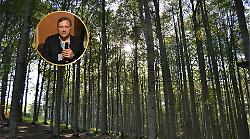 Boschi e foreste  di Grosseto protetti: 1,1 milioni di fondi per la Maremma verde