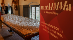 Vino e territorio protagonisti: mareMMMa cambia formato