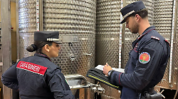 4mila illeciti per oltre 2,6 milioni di euro: i numeri record dei carabinieri forestali in Toscana