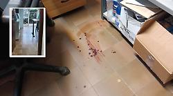 Razzia dei ladri nella sede della Cia di Follonica: sangue, vetri rotti e danni negli uffici