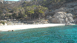 Il sogno proibito del Tirreno: al via le prenotazioni per l'isola di Montecristo