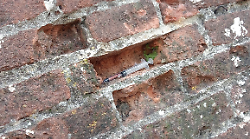 Siringhe abbandonate davanti alle scuole: l'allarme di un cittadino 