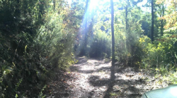 Addio strade impercorribili: arrivano 260mila euro dalla Regione per le vie rurali del Comune