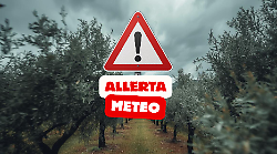 Allerta meteo, luned&igrave; nero sulla costa: ecco quando il vento e il mare faranno paura