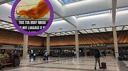 "Gat-astrofe" al check-in: mette il gatto sul nastro dei raggi X, micio salvato dagli agenti