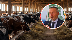 Predatori alle porte della citt&agrave;: attacco notturno a pochi metri dalle abitazioni, Confagricoltura lancia l'allarme