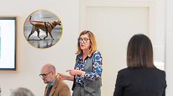 Vacanze con il cane?  Scarlino apre le porte agli amici a quattro zampe