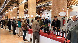 Tutto pronto per la vetrina del vino maremmano: 113 aziende tutte da degustare per "mareMMMa"