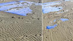 Marina di Grosseto, telo di plastica abbandonato sulla spiaggia. Una residente: &laquo;Rischia di inquinare&raquo;