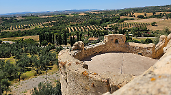 Maremma museo a cielo aperto: il 1&deg; marzo ingressi gratis e trekking fino all'Olivo della strega