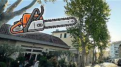 Ok all'abbattimento degli alberi nella piazza: respinto il ricorso del comitato, ma il dibattito continua. Il video