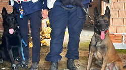 Blitz in un immobile comunale: sequestrata cocaina e 1.350 euro, quattro denunciati