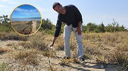 Dalla spiaggia di Principina a Bocca d&rsquo;Ombrone: viaggio tra le dune con il Parco della Maremma